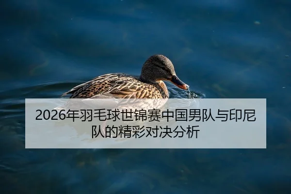 2026年羽毛球世锦赛中国男队与印尼队的精彩对决分析