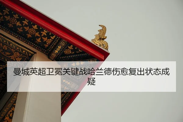 man-cheng-ying-chao-wei-mian-guan-jian-zhan-ha-lan-de-shang-yu-fu-chu-zhuang-tai-cheng-yi-2-413.jpg