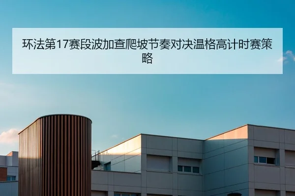 环法第17赛段波加查爬坡节奏对决温格高计时赛策略